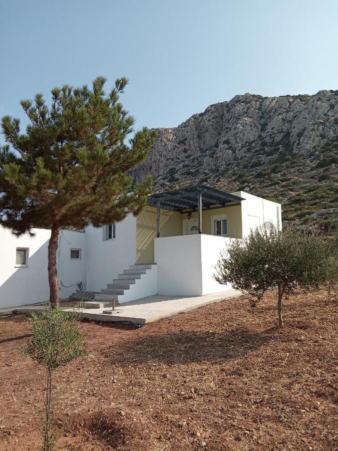 Albatros Studios & Apartments Lefkos  Luaran gambar