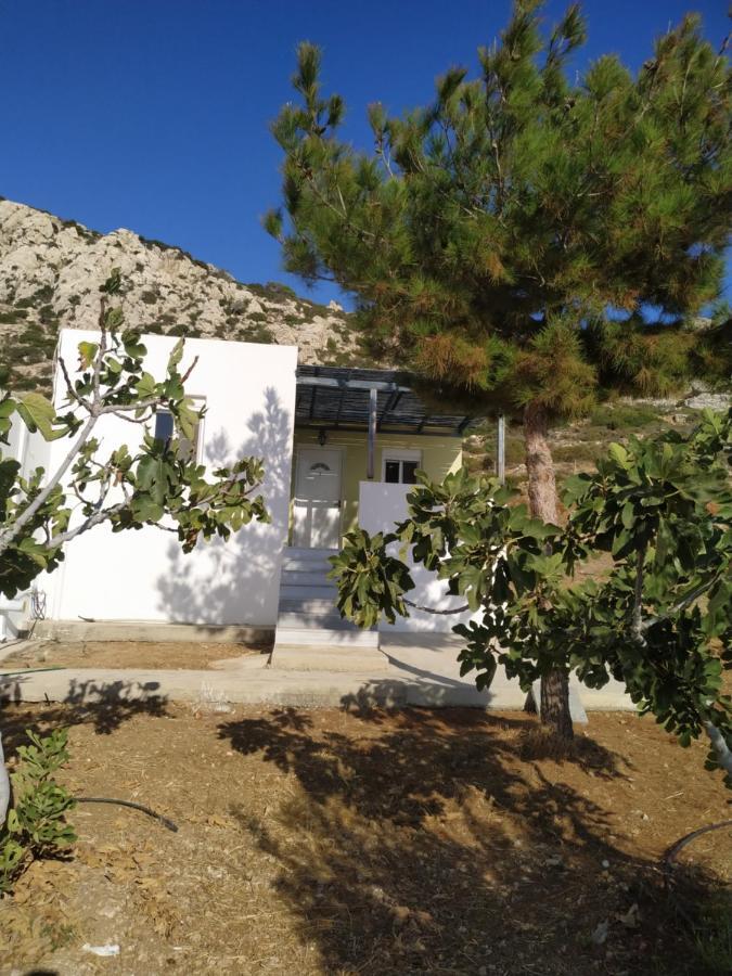 Albatros Studios & Apartments Lefkos  Luaran gambar